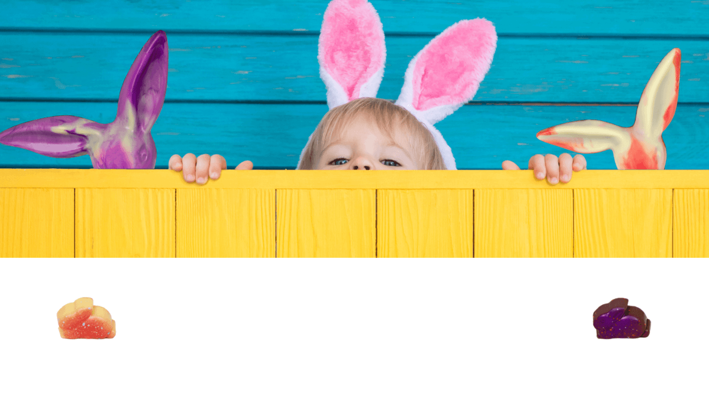 Les lapins sont de retour !