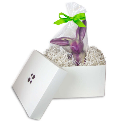 grand lapin dans un coffret cadeau