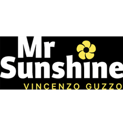 Mr. Sunshine Vincenzo Guzzo
